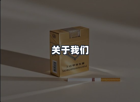 关于我们